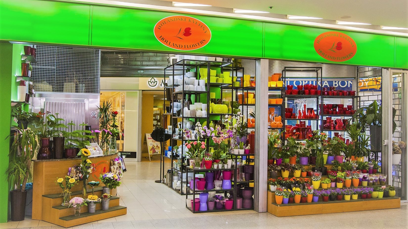 Holandské květiny Bondy centrum